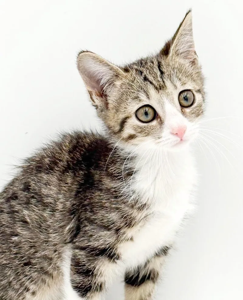 Lucy is our lil' thumbnail 4