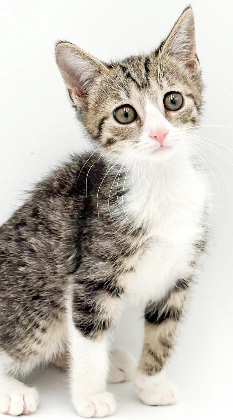 Lucy is our lil' thumbnail 5