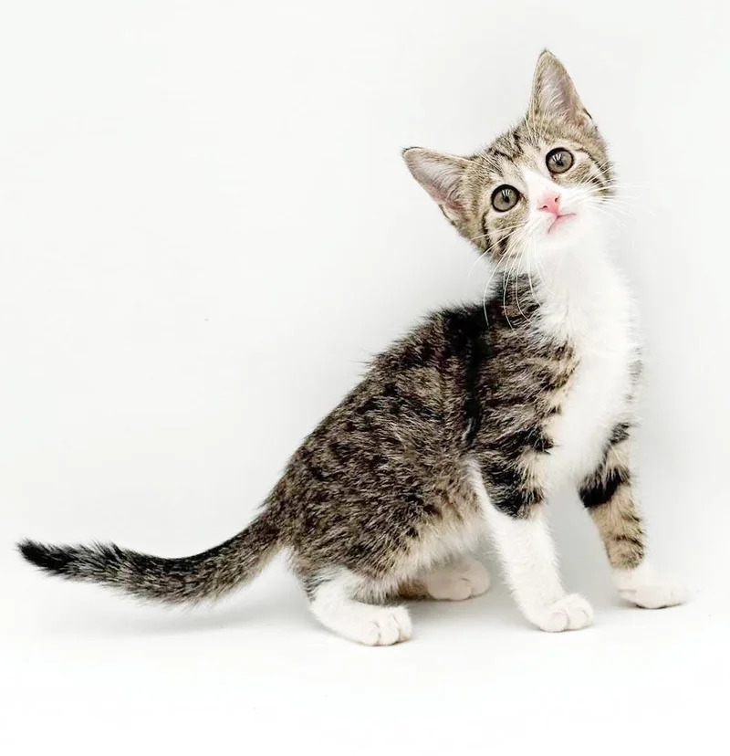 Lucy is our lil' thumbnail 6
