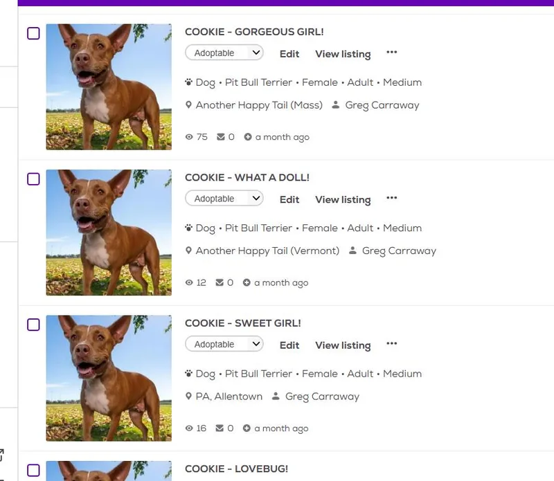 Cookie  What A thumbnail 6