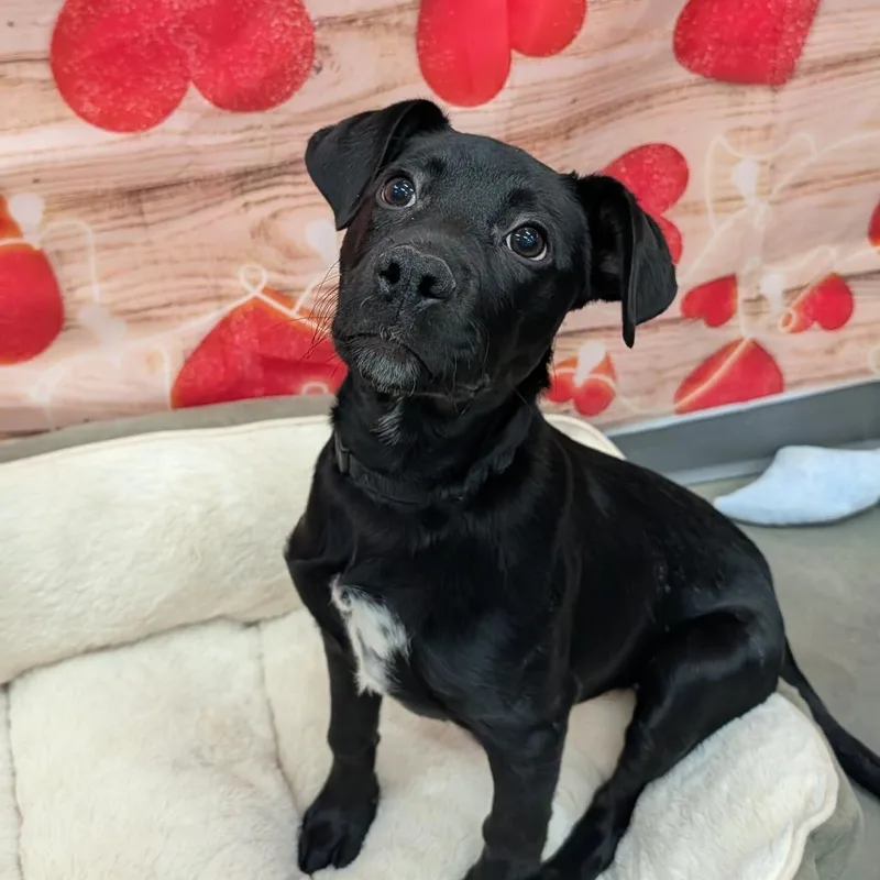 Cousin Eddie thumbnail 2