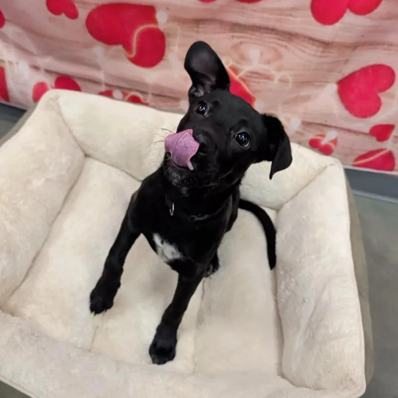 Cousin Eddie thumbnail 3