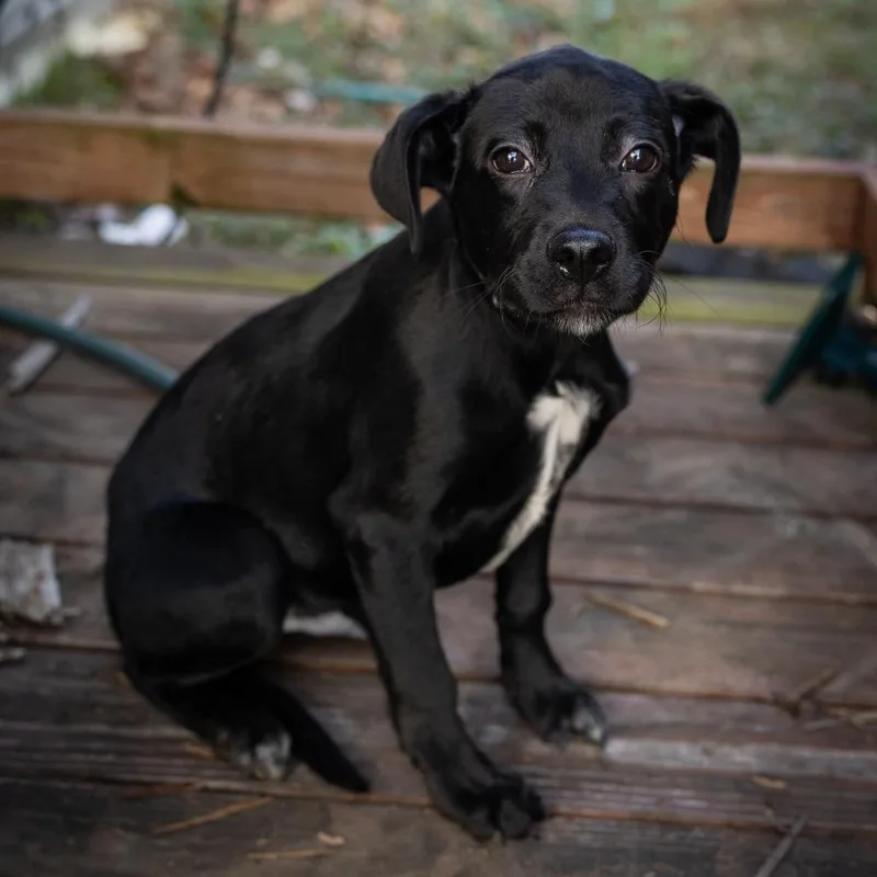 Cousin Eddie thumbnail 4