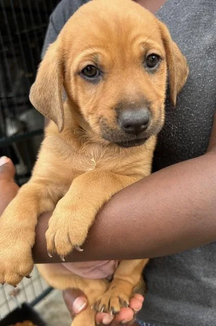 Cassie Kazoo thumbnail 2