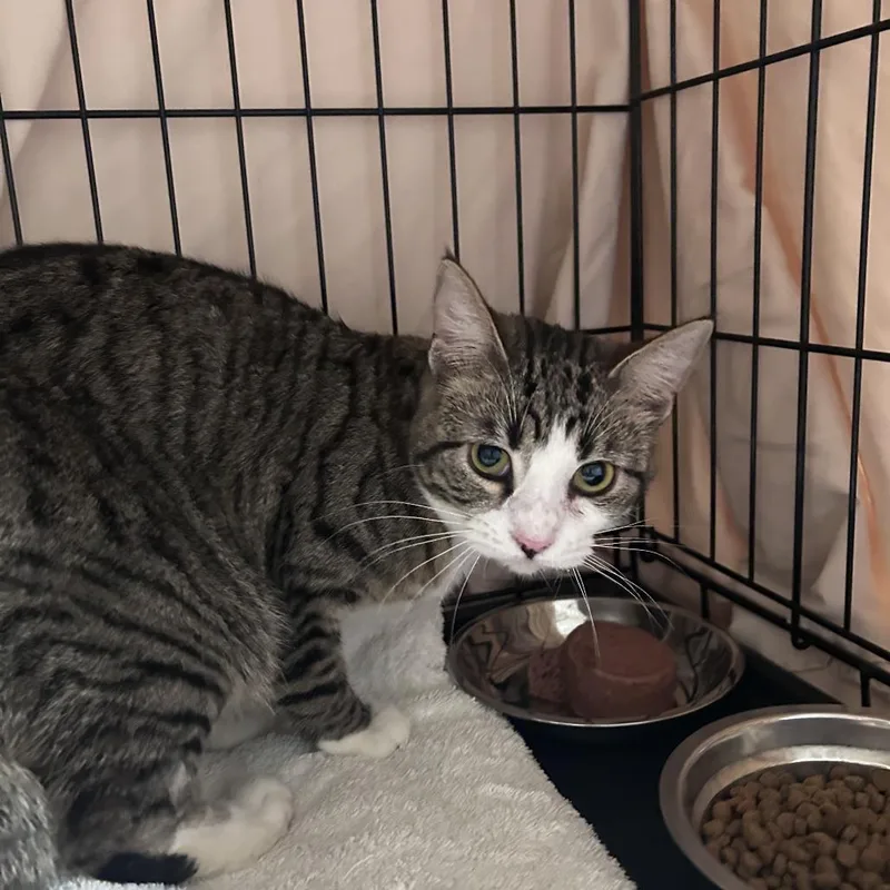 Mj Costa Mesa Location thumbnail 2