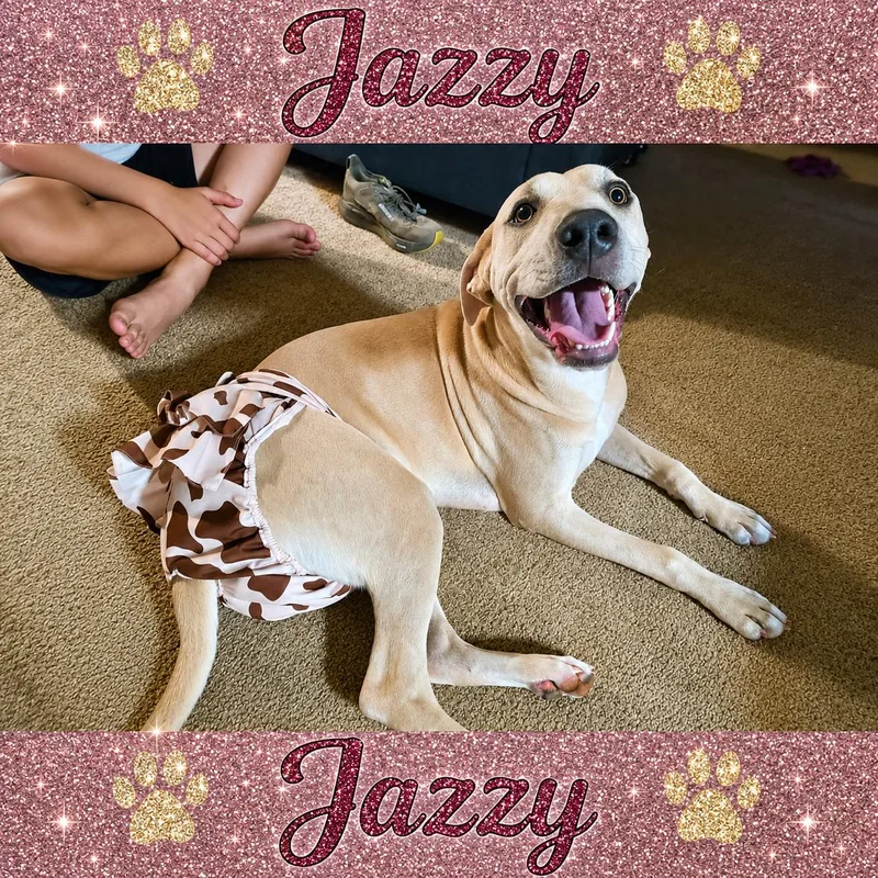 Jazzy thumbnail 4