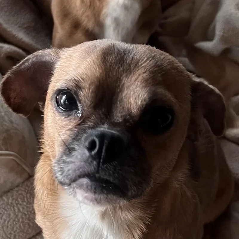 Sasha thumbnail 3