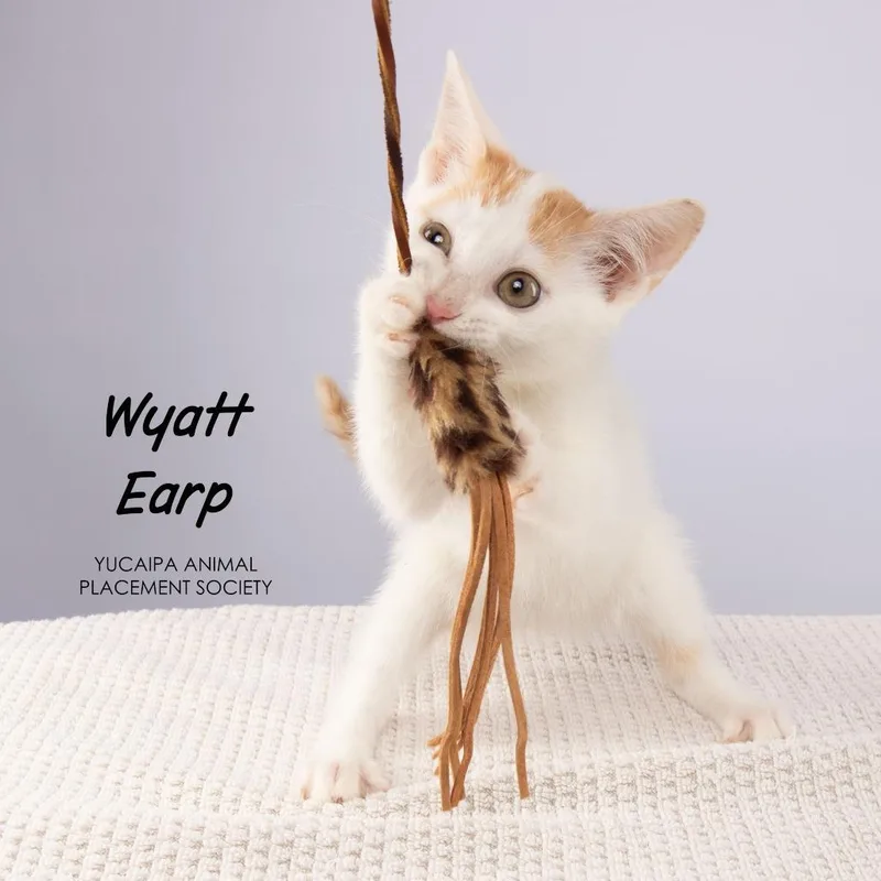 Wyatt Earp