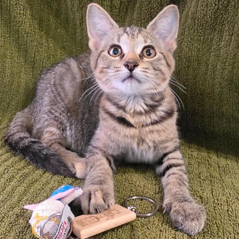 Freya