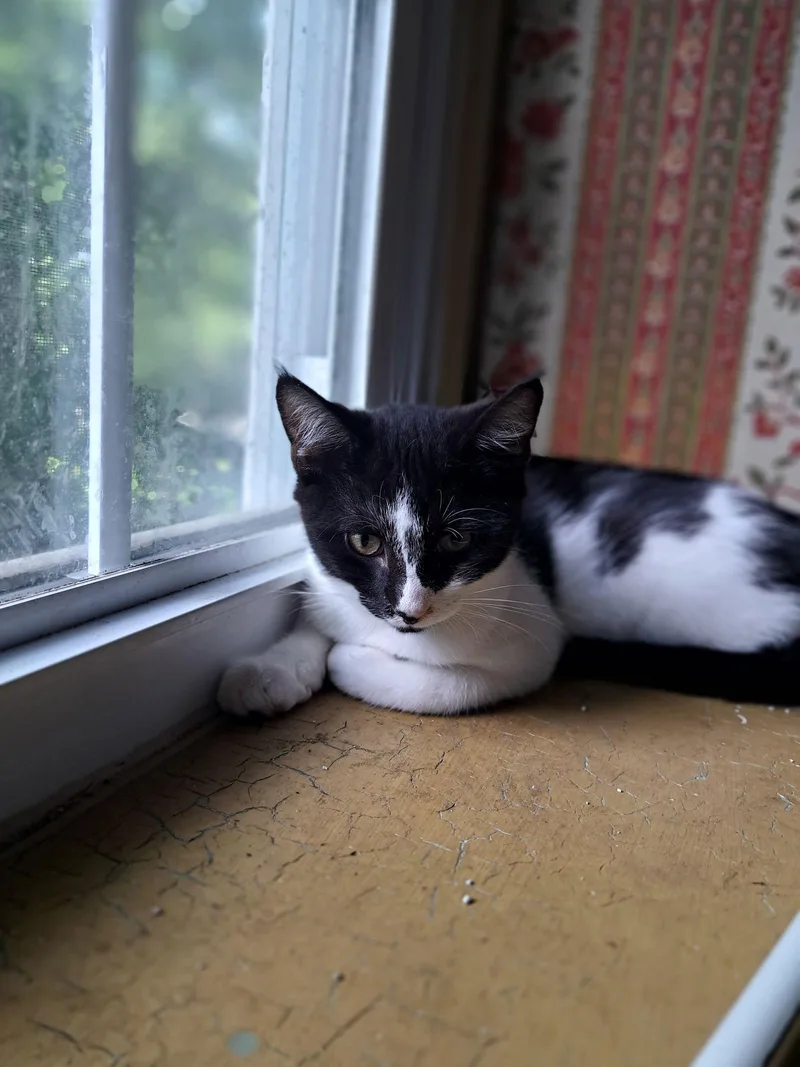 Duncan  Willow Grove