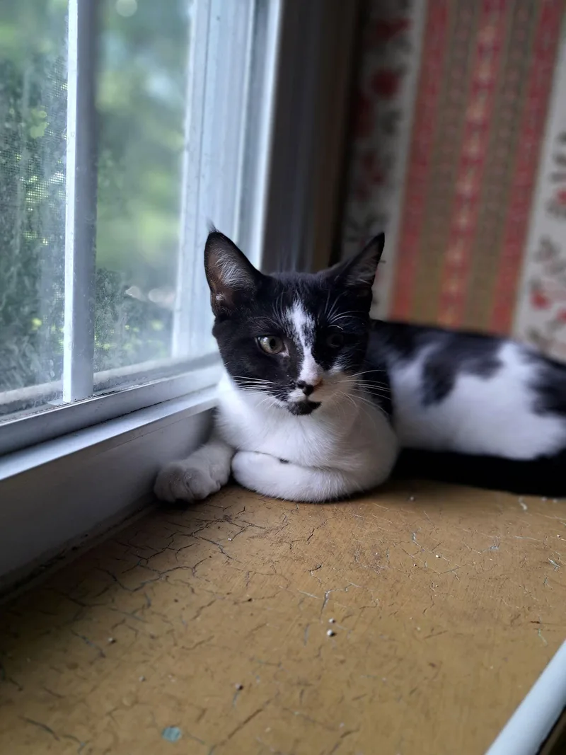 Duncan  Willow Grove thumbnail 2