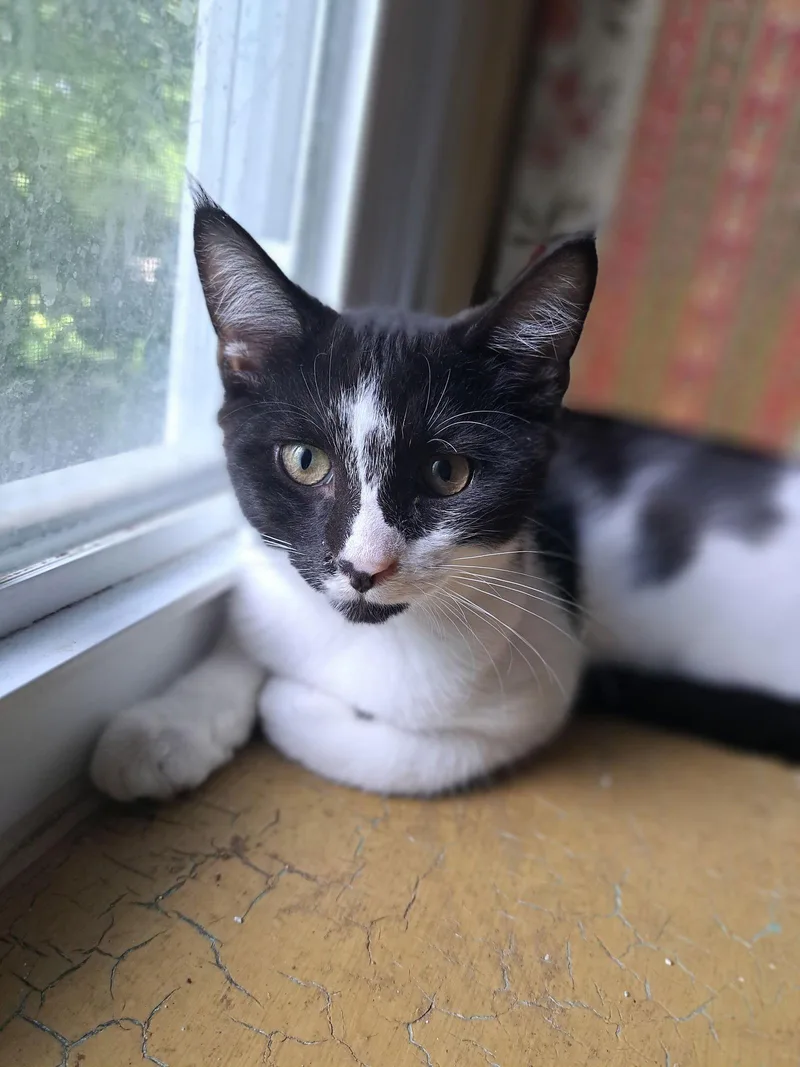 Duncan  Willow Grove thumbnail 3