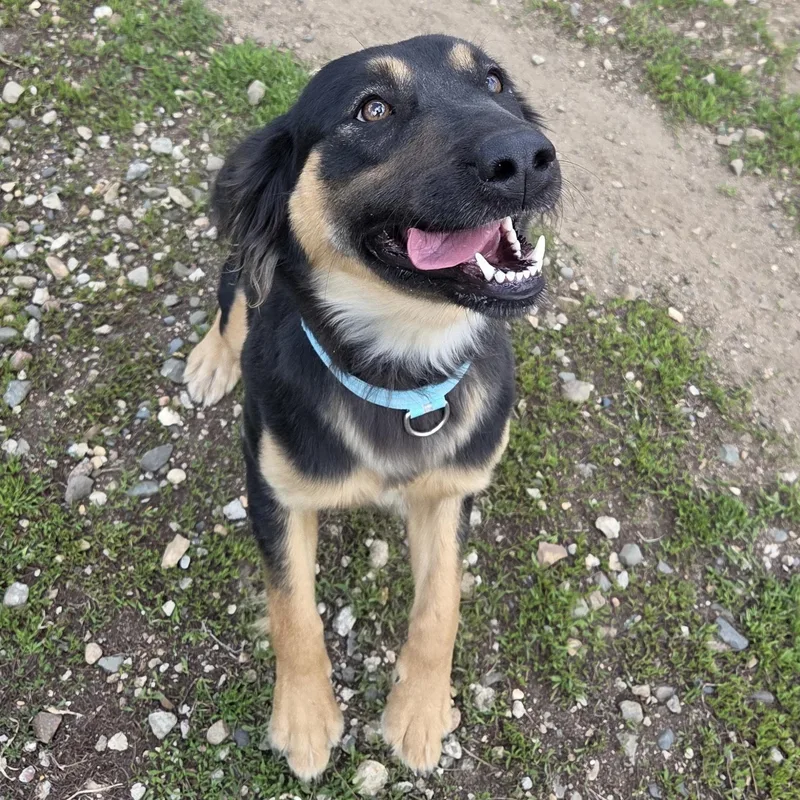 Coco