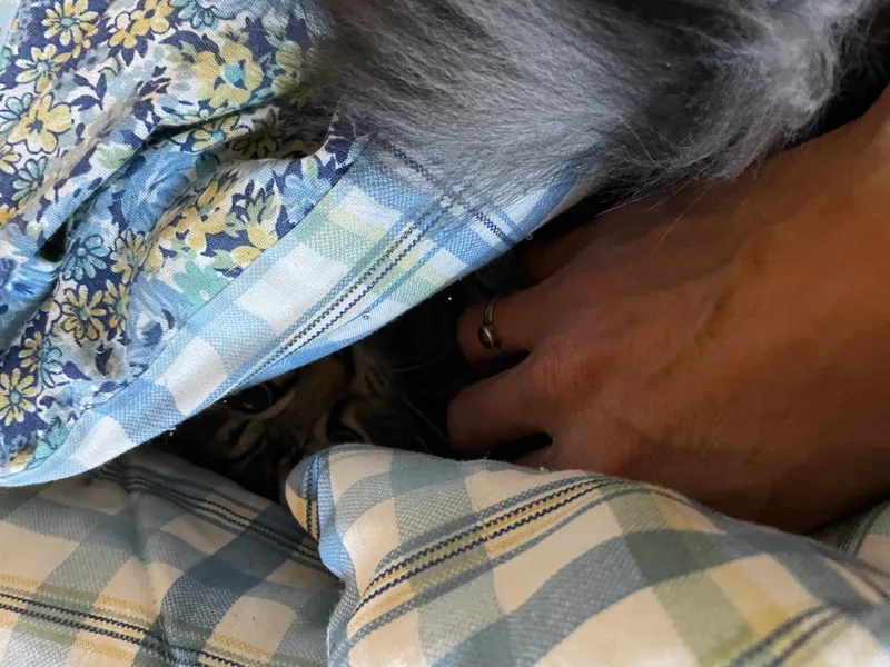 Mouse And Dresden thumbnail 3