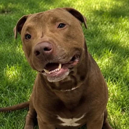 Duke