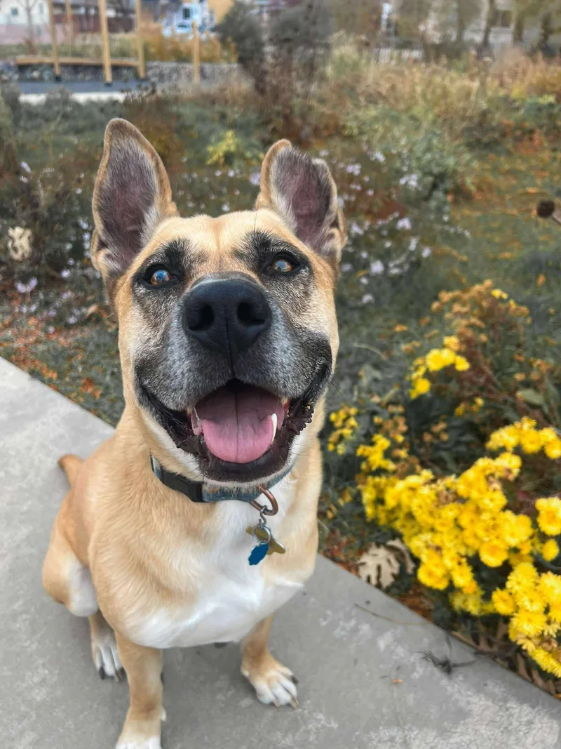 Mighty Mike thumbnail 3