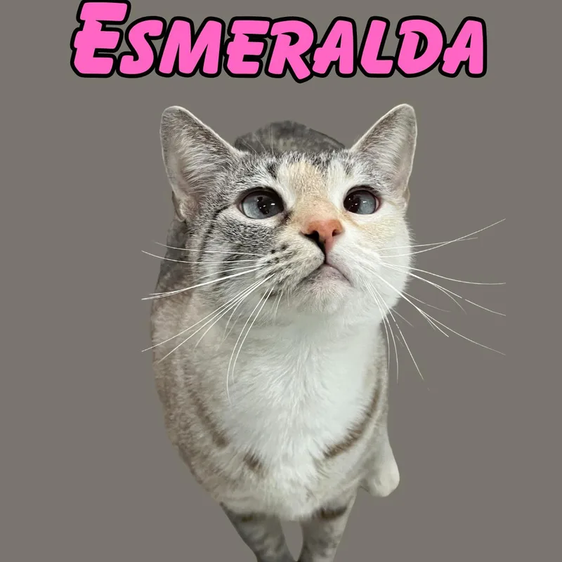Esmeralda