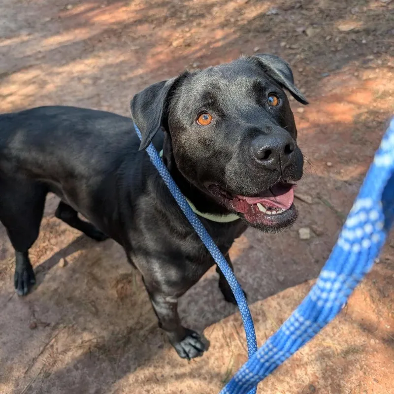 Marshall Tucker thumbnail 4