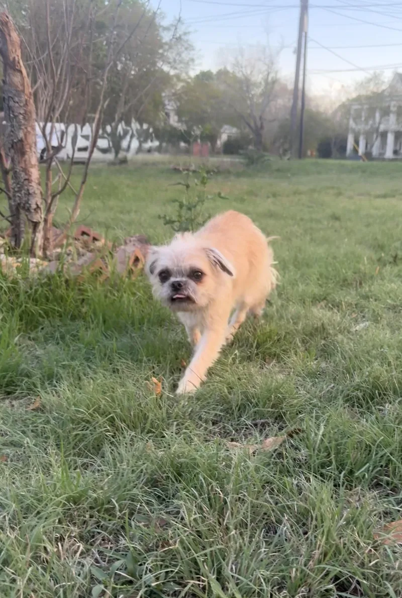 Ruffles Is Precious! thumbnail 2