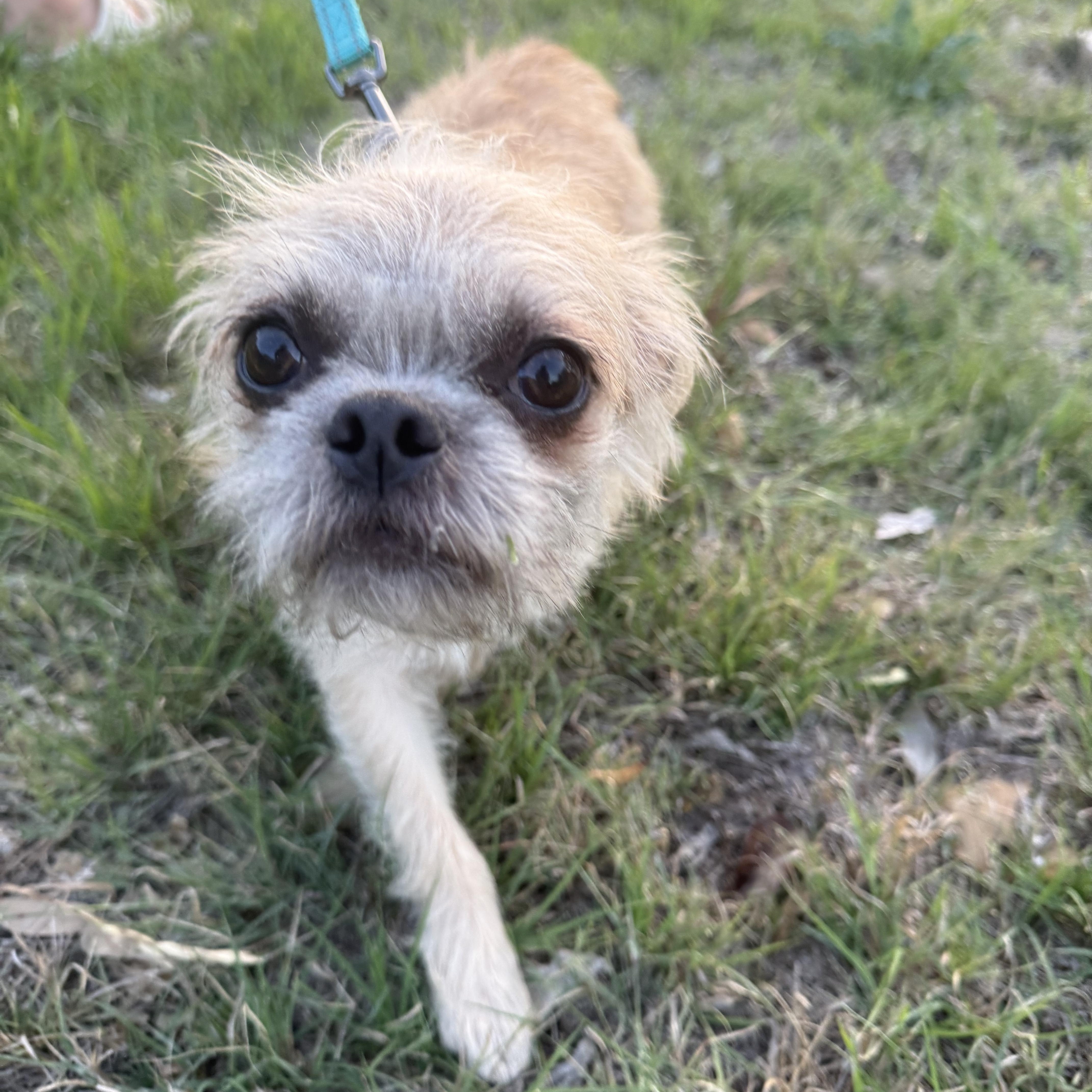 Ruffles Is Precious! thumbnail 4