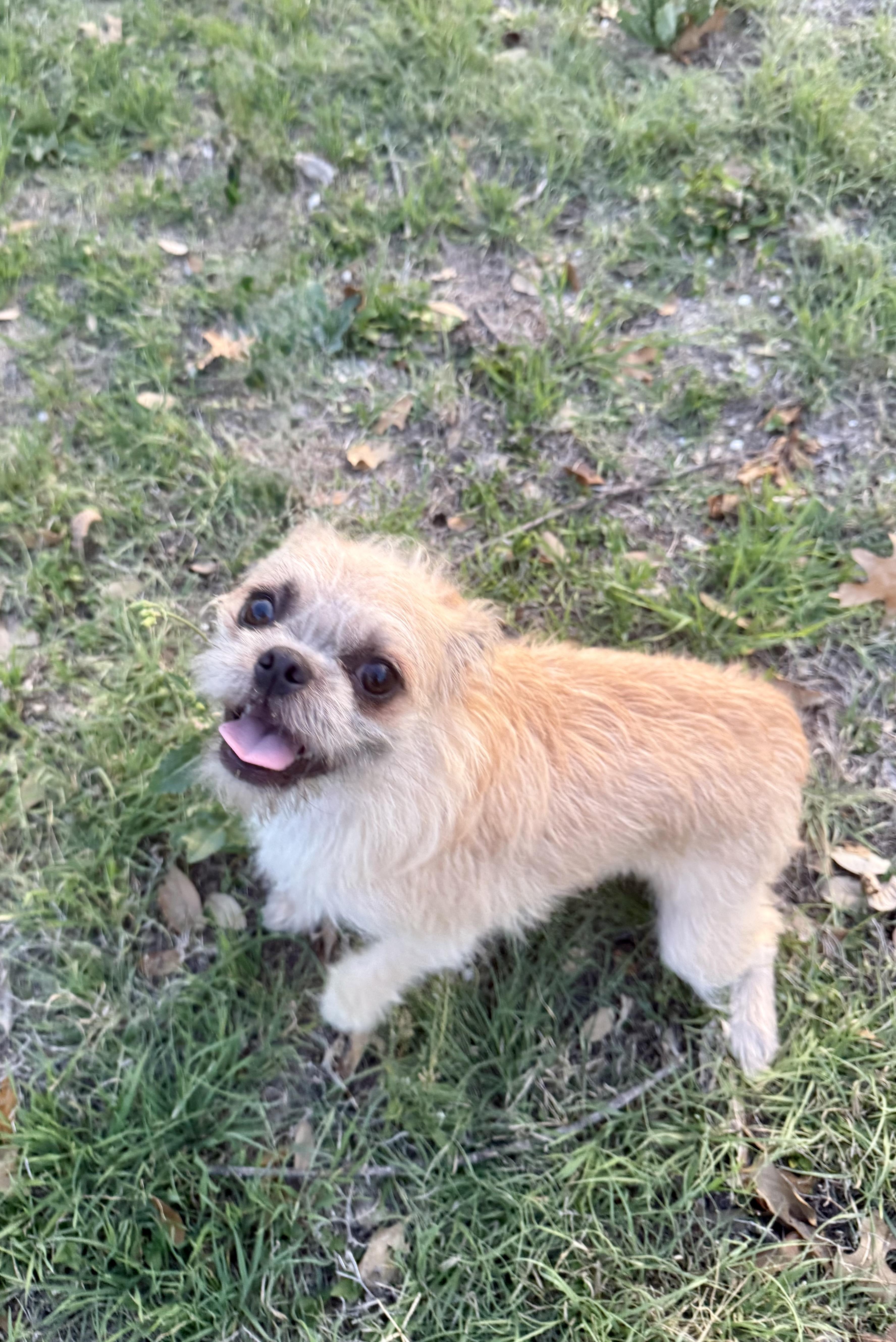 Ruffles Is Precious! thumbnail 5