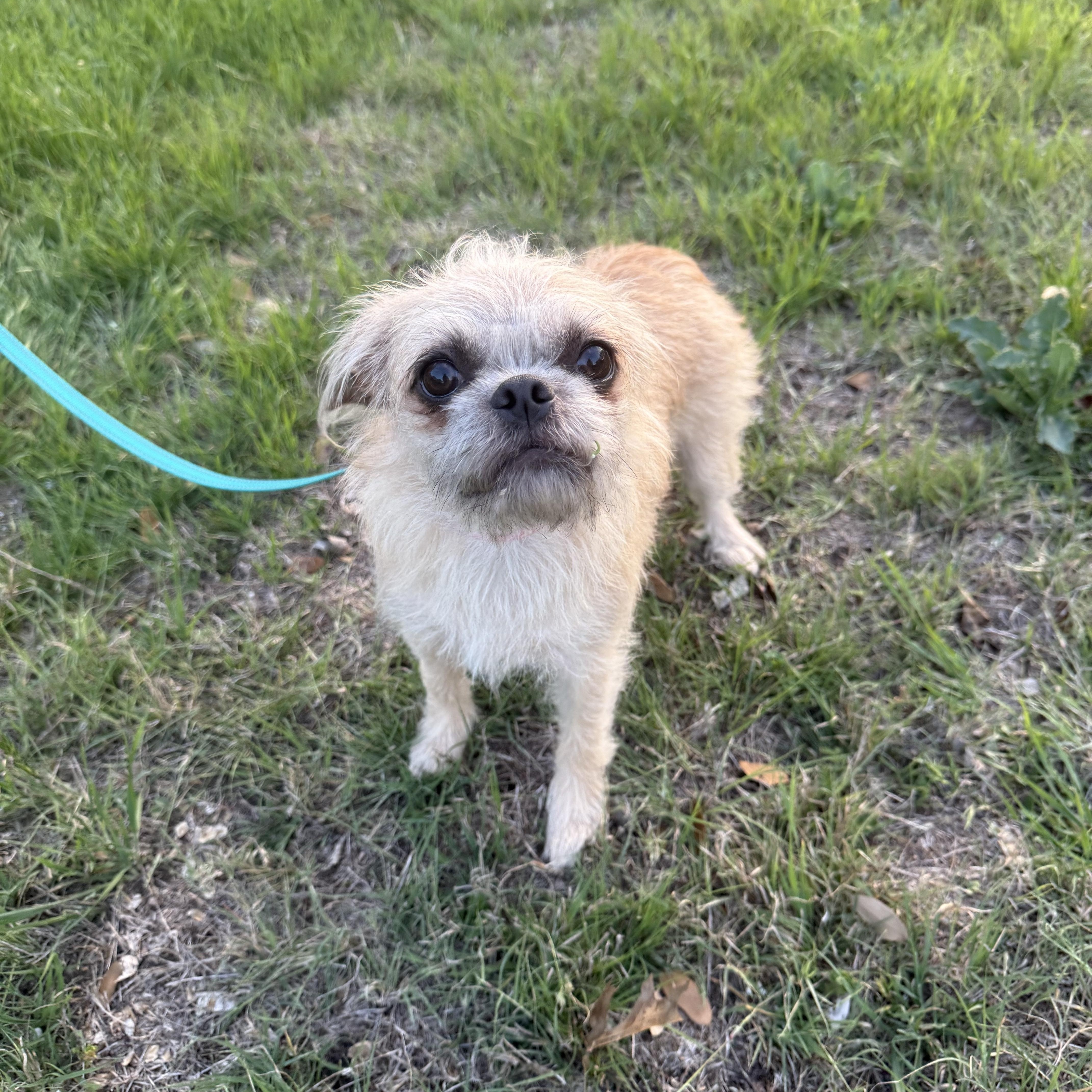 Ruffles Is Precious!