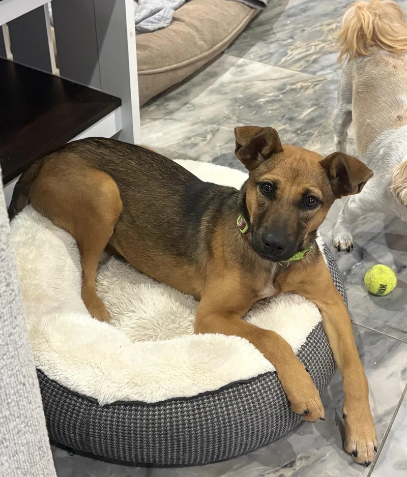 Brooklyn thumbnail 2