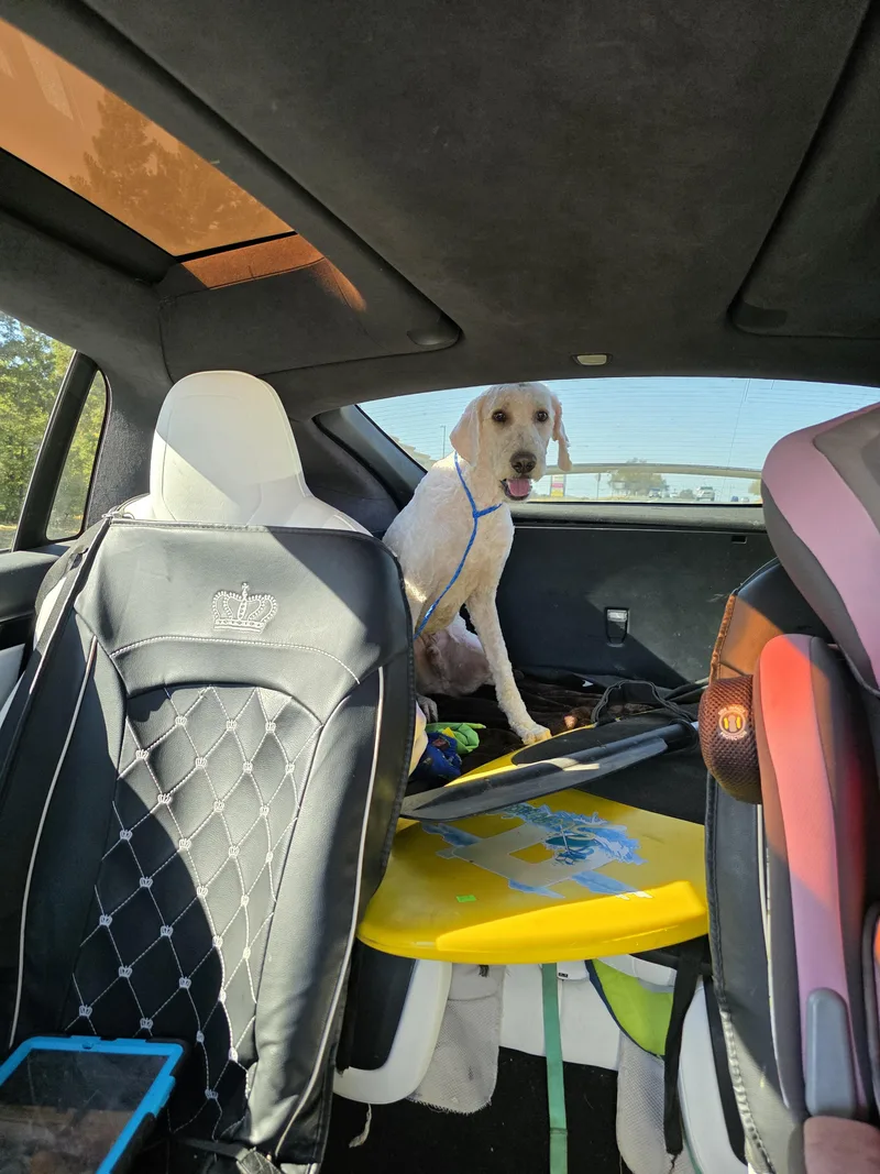 Bentley thumbnail 3