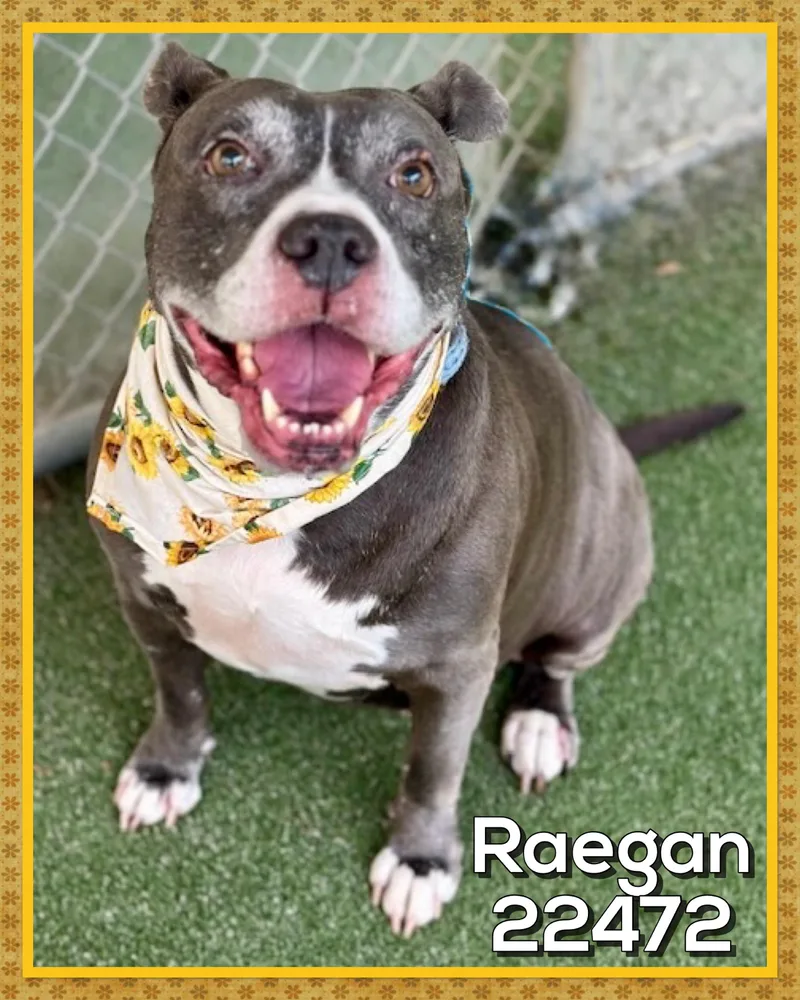 Raegan thumbnail 3