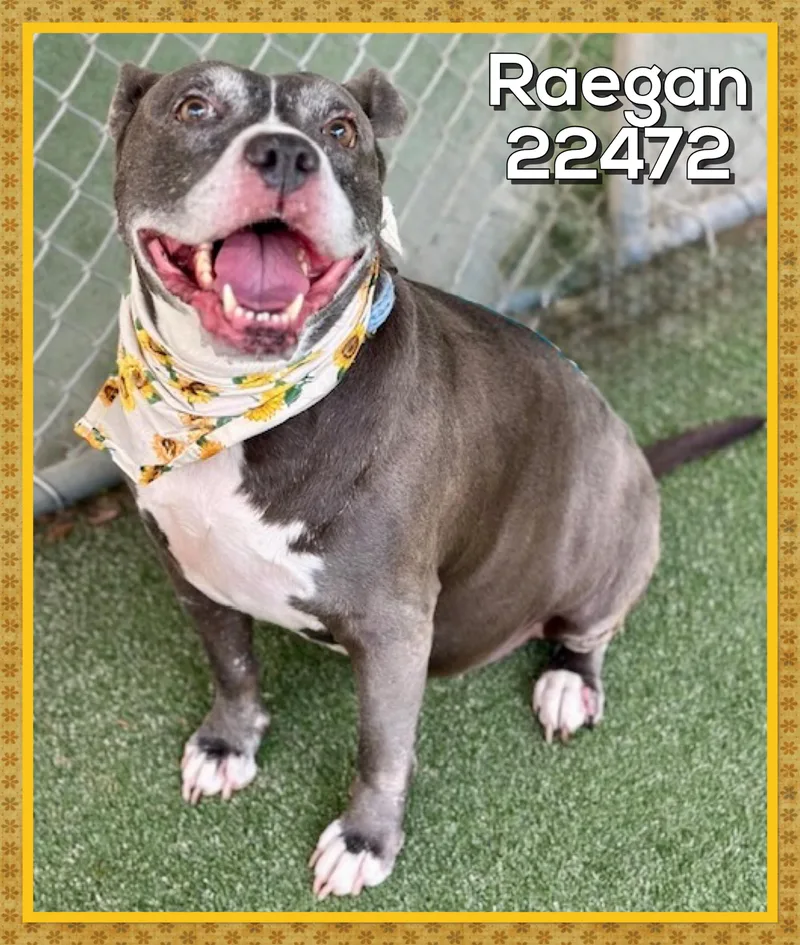 Raegan thumbnail 4