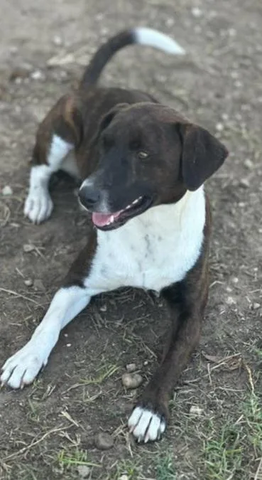 Mary Ellen thumbnail 2