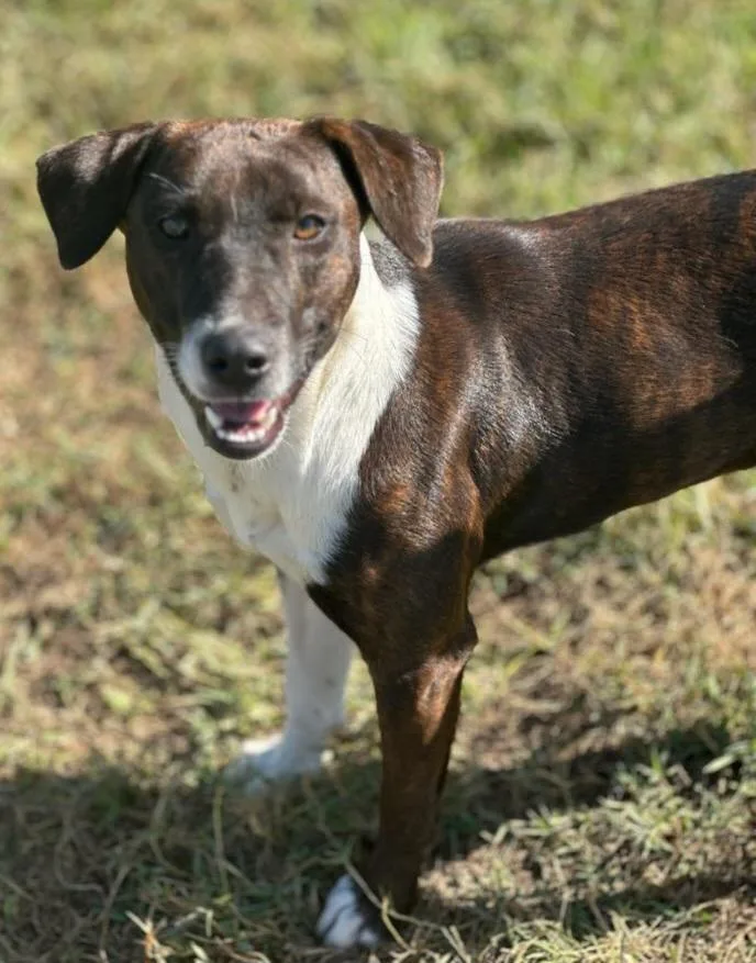 Mary Ellen thumbnail 3