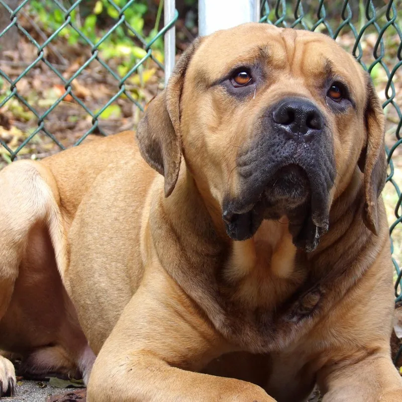 Courage thumbnail 2