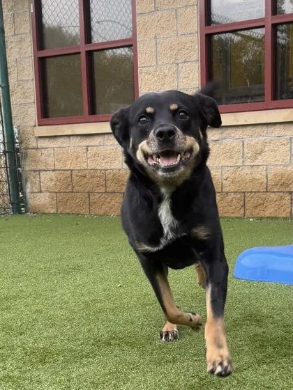 Lena