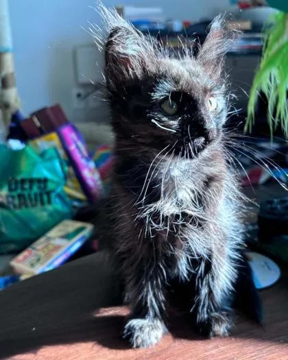 Alex thumbnail 3