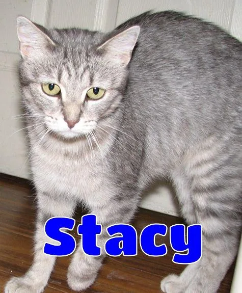 Stacy thumbnail 2