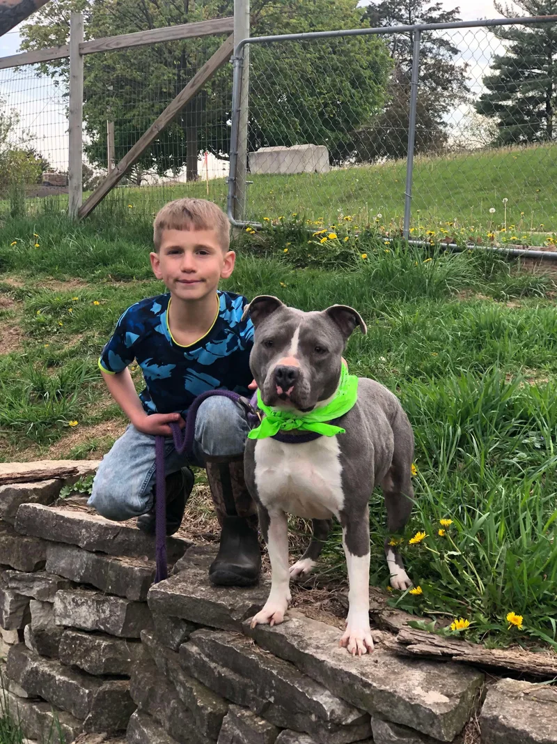 Princess thumbnail 2