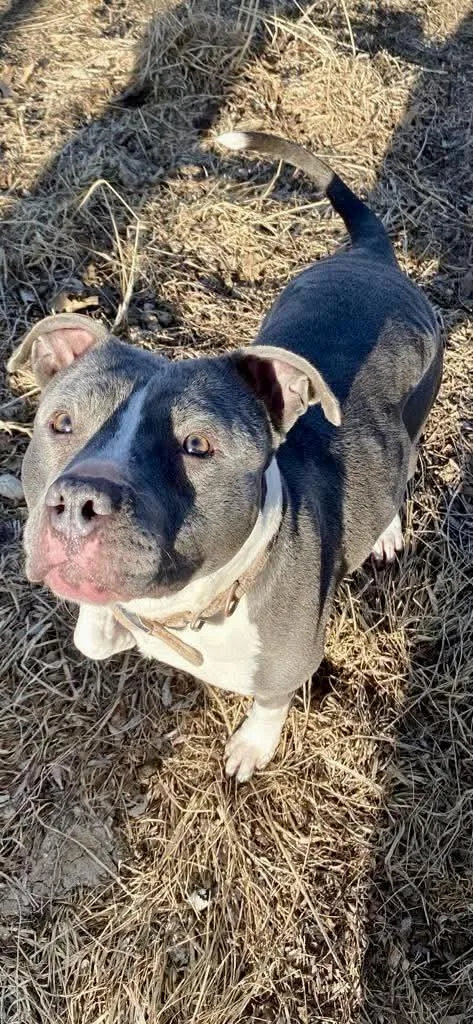 Princess thumbnail 4