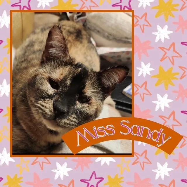 Sandy & Squidward thumbnail 2