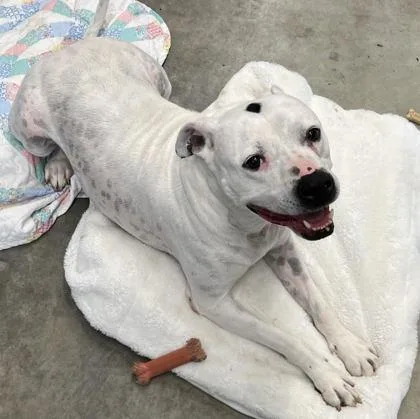 Precious thumbnail 2