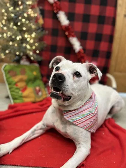 Precious thumbnail 3