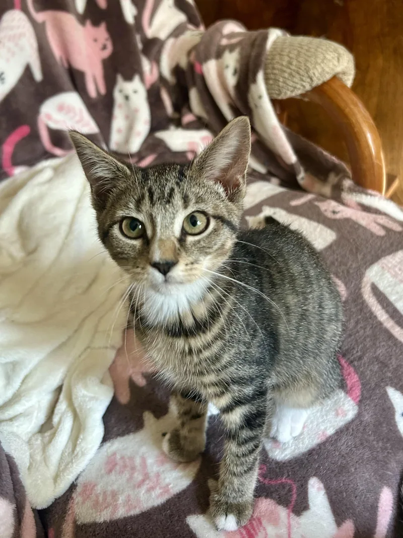Jolene thumbnail 2