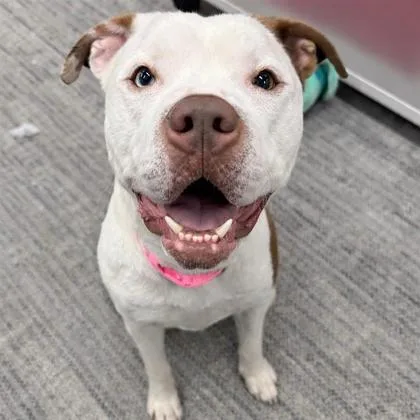 Spot Fka Gage thumbnail 2