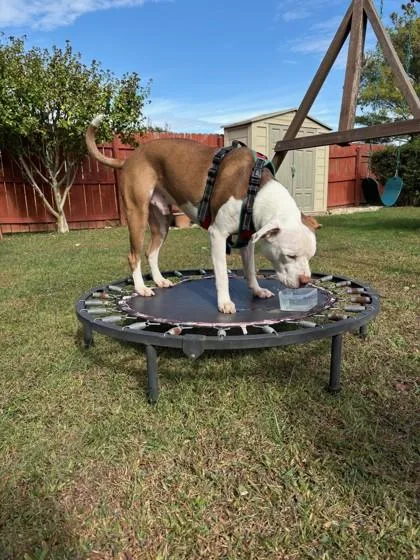 Spot Fka Gage thumbnail 4