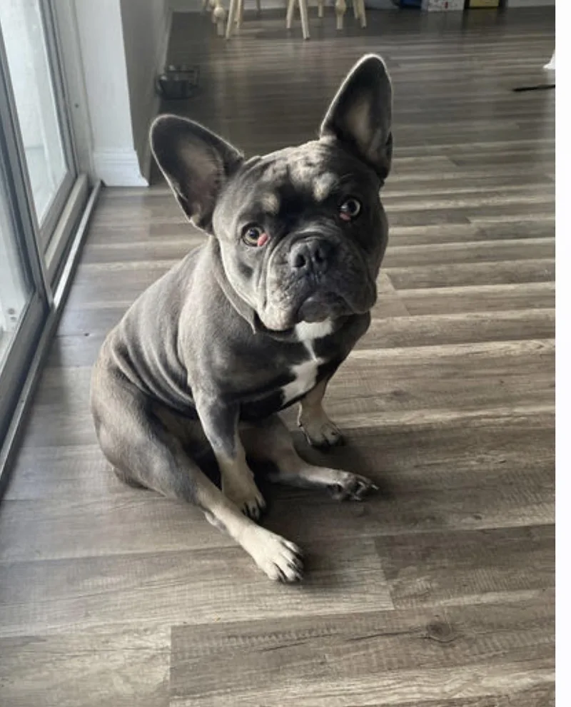 Lucille