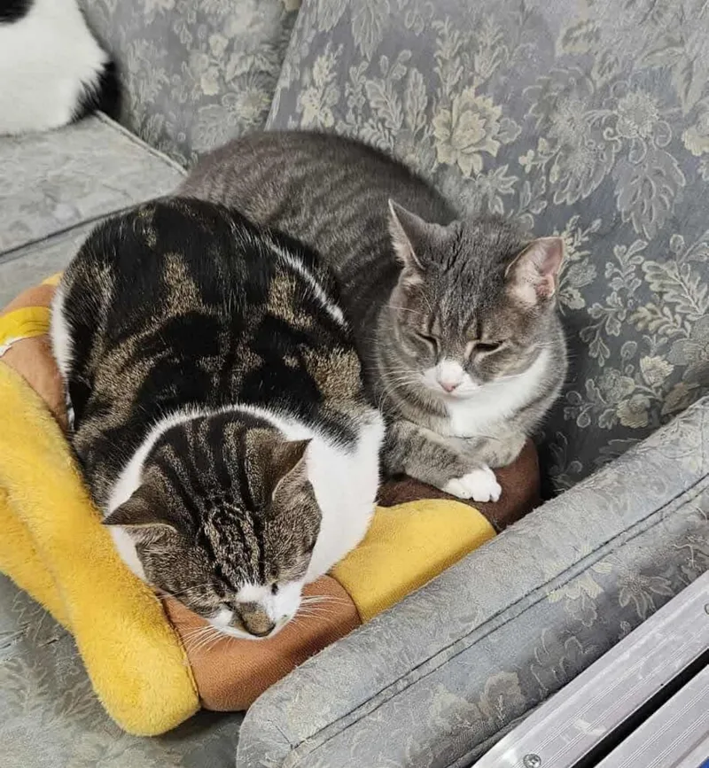 Sheldon & Peter thumbnail 2