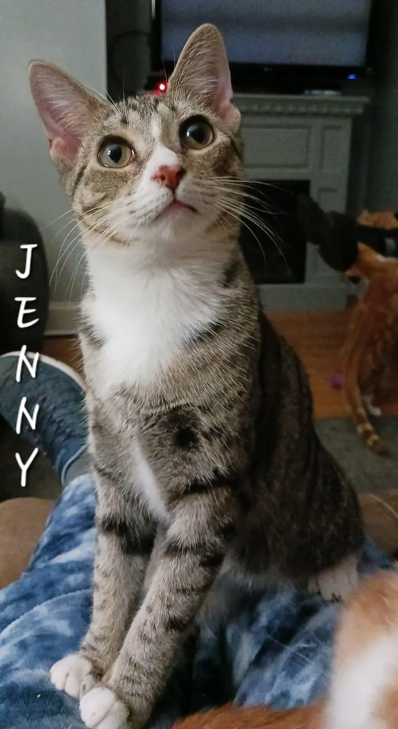 Jenny thumbnail 2