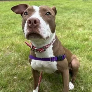 Molly