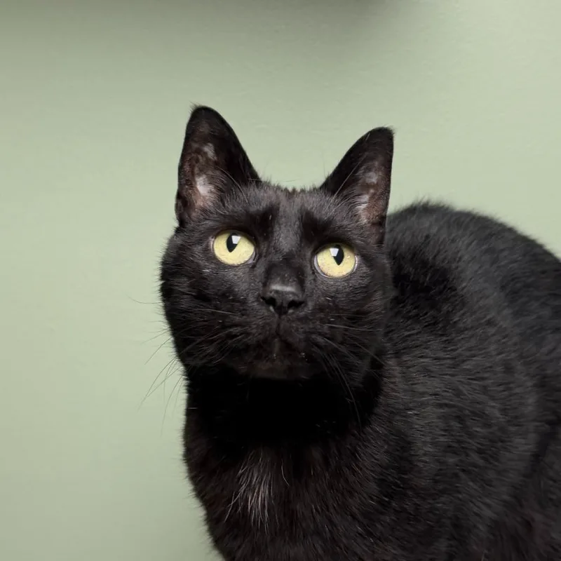 Sebastian thumbnail 5