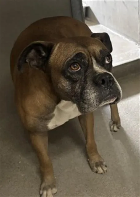 Miles